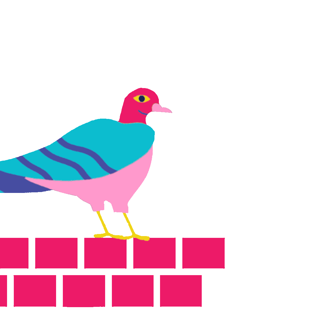 pigeon